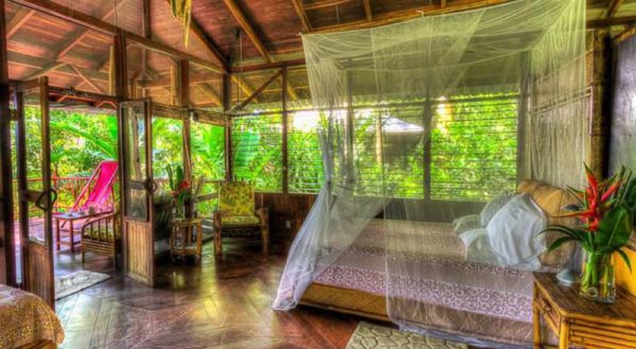Iguana Lodge Beach Resort Пуэрто-Хименес Экстерьер фото