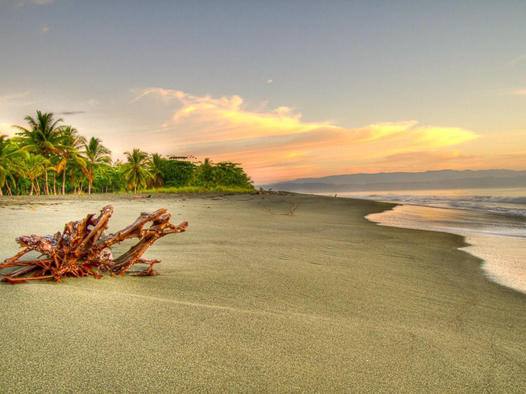Iguana Lodge Beach Resort Пуэрто-Хименес Экстерьер фото